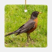 Amerikaanse Robin Keramisch Ornament (Achterkant)