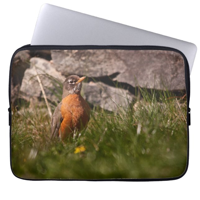 Amerikaanse Robin Laptop Sleeve (Voorkant)