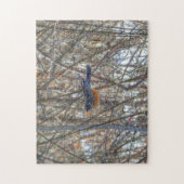 Amerikaanse Robin Legpuzzel (Verticaal)