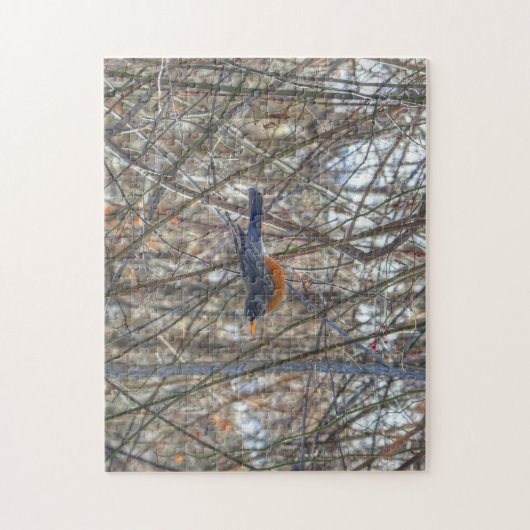 Amerikaanse Robin Legpuzzel (Verticaal)