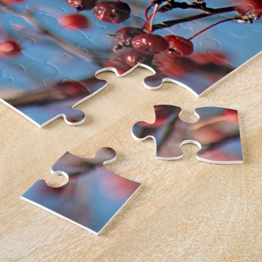 Amerikaanse robin legpuzzel (Zijkant)