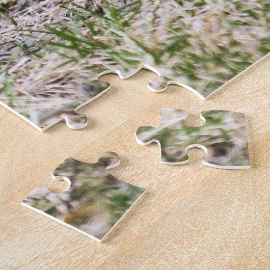 Amerikaanse Robin Legpuzzel (Zijkant)