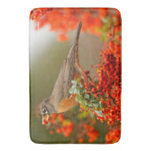 Amerikaanse Robin met een Pyracantha Pomme Badmat (Voorkant Verticaal)