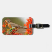 Amerikaanse Robin met een Pyracantha Pomme Bagagelabel (Voorkant horizontaal)