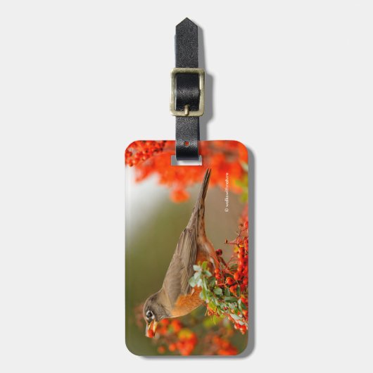 Amerikaanse Robin met een Pyracantha Pomme Bagagelabel (Voorkant verticaal)