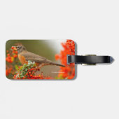 Amerikaanse Robin met een Pyracantha Pomme Bagagelabel (Achterkant horizontaal)