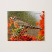 Amerikaanse Robin met een Pyracantha Pomme Legpuzzel (Horizontaal)