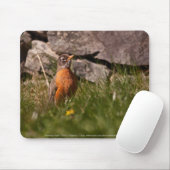 Amerikaanse Robin Muismat (Met muis)