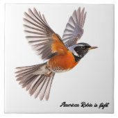 Amerikaanse Robin op de vlucht Tegeltje (Voorkant)