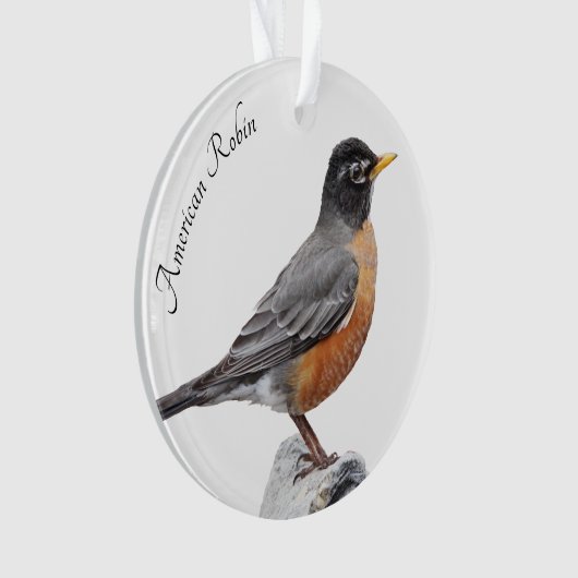 Amerikaanse Robin Ornament (voorkant)