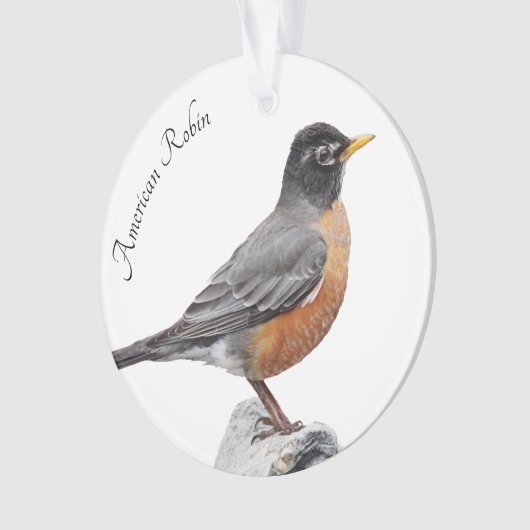Amerikaanse Robin Ornament (voorkant)