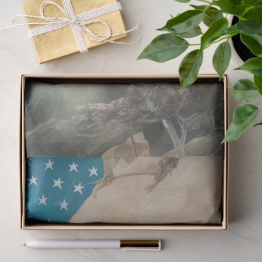  Amerikaanse Robin Patriottische Bloemen Decoupage Tissuepapier (Geschenk)