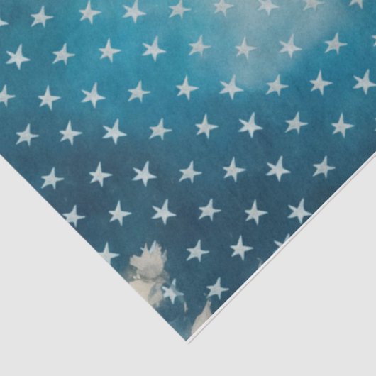  Amerikaanse Robin Patriottische Bloemen Decoupage Tissuepapier (Detail)