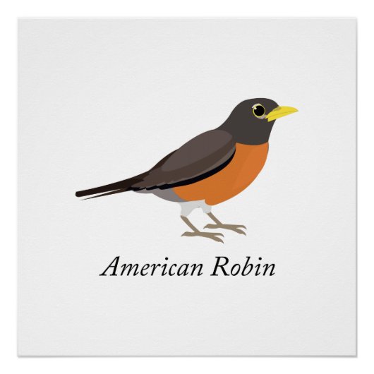 Amerikaanse Robin Perfect Poster (Voorkant)