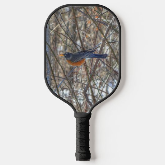 Amerikaanse Robin Pickleball Paddle (Voorkant)