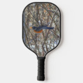 Amerikaanse Robin Pickleball Paddle (Achterkant)