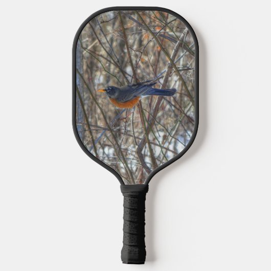 Amerikaanse Robin Pickleball Paddle (Achterkant)