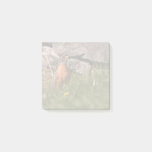 Amerikaanse Robin Post-it® Notes (Voorkant)