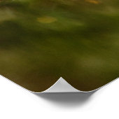 Amerikaanse Robin Poster (Hoek)