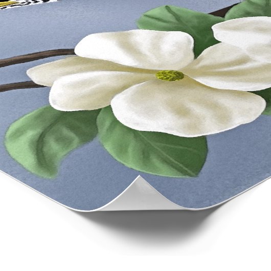 Amerikaanse Robin Poster (Hoek)