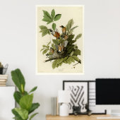 Amerikaanse Robin Poster (Thuiskantoor)