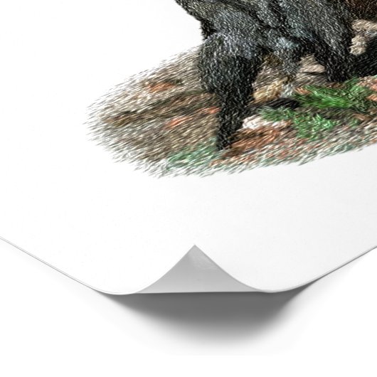 Amerikaanse Robin Prints en Posters (Hoek)