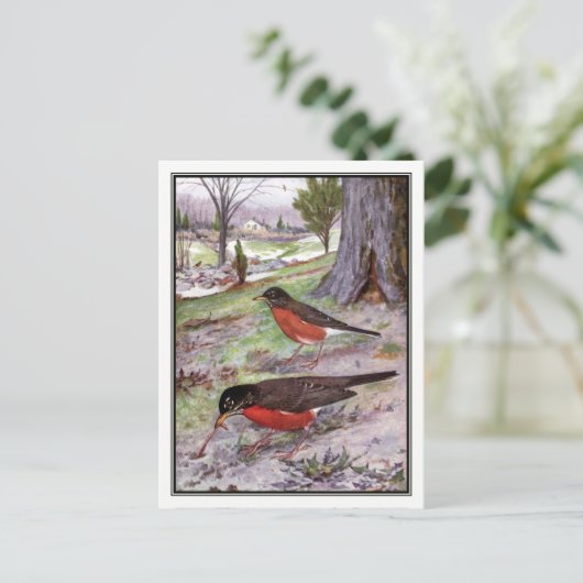 -Amerikaanse Robin - Robert Bruce Horsfall Briefkaart (Staand voorkant)