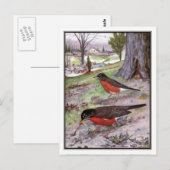 -Amerikaanse Robin - Robert Bruce Horsfall Briefkaart (Voorkant / Achterkant)