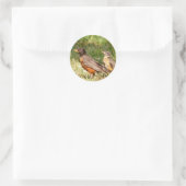 Amerikaanse Robin Ronde Sticker (Tas)