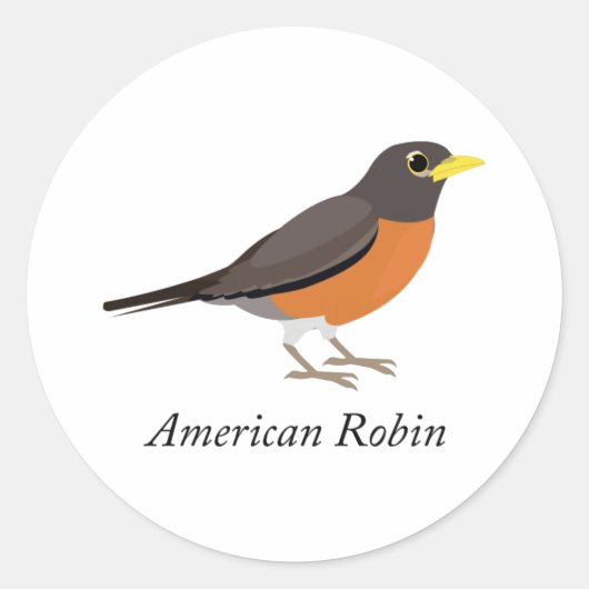 Amerikaanse Robin Ronde Sticker (Voorkant)