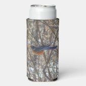 Amerikaanse Robin Seltzer Blikjeskoeler (Seltzer Achterkant)