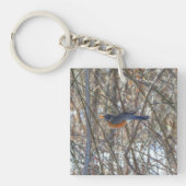 Amerikaanse Robin Sleutelhanger (Voorkant)