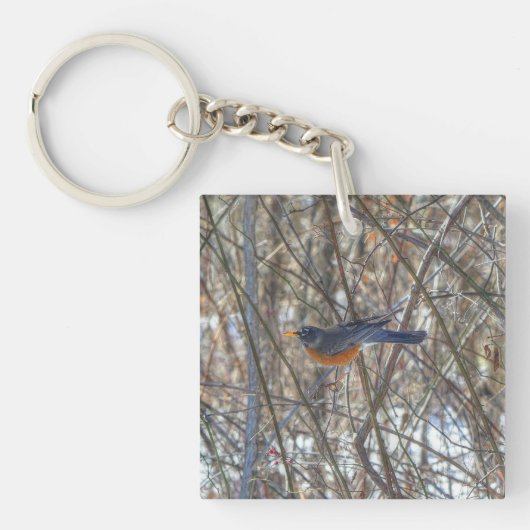 Amerikaanse Robin Sleutelhanger (Voorkant)