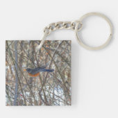 Amerikaanse Robin Sleutelhanger (Achterkant)
