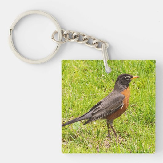 Amerikaanse Robin Sleutelhanger (voorkant)