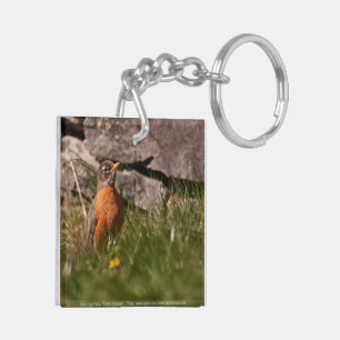 Amerikaanse Robin Sleutelhanger