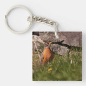 Amerikaanse Robin Sleutelhanger (Voorkant)