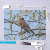 Amerikaanse Robin Spring Blossoms Catkins Tissuepapier (Craft)