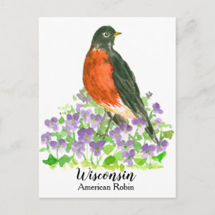 Amerikaanse Robin State Bird of Wisconsin Briefkaart