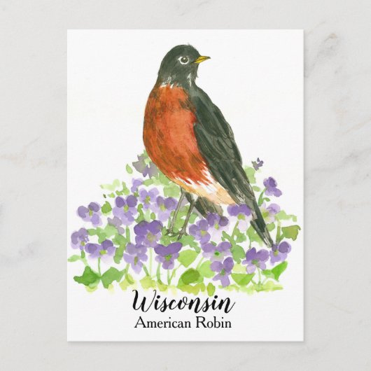 Amerikaanse Robin State Bird van Wisconsin Briefkaart (Voorkant)