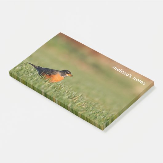 Amerikaanse Robin the Winter Grass Post-it® Notes (Schuin)