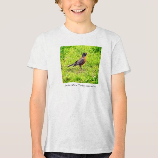 Amerikaanse Robin (Turdus migratorius) Tri-Blend Shirt (Voorkant)