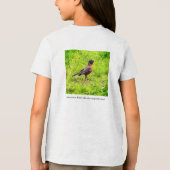 Amerikaanse Robin (Turdus migratorius) Tri-Blend Shirt (Achterkant)
