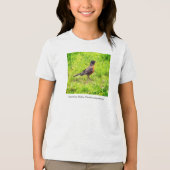 Amerikaanse Robin (Turdus migratorius) Tri-Blend Shirt (Voorkant)