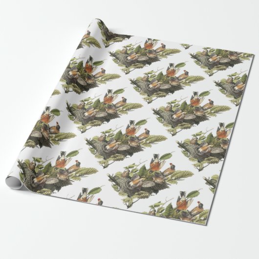 Amerikaanse Robin van Audubon Cadeaupapier (Uitgerold)