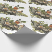 Amerikaanse Robin van Audubon Cadeaupapier (Hoek)