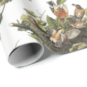 Amerikaanse Robin van Audubon Cadeaupapier (Rol Hoek)