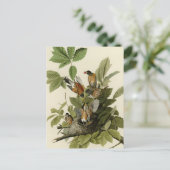 Amerikaanse Robin van Audubon's Birds of America Briefkaart (Staand voorkant)