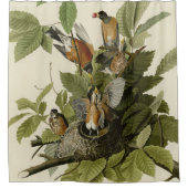 Amerikaanse Robin van Audubon's Birds of America Douchegordijn (Voorkant)