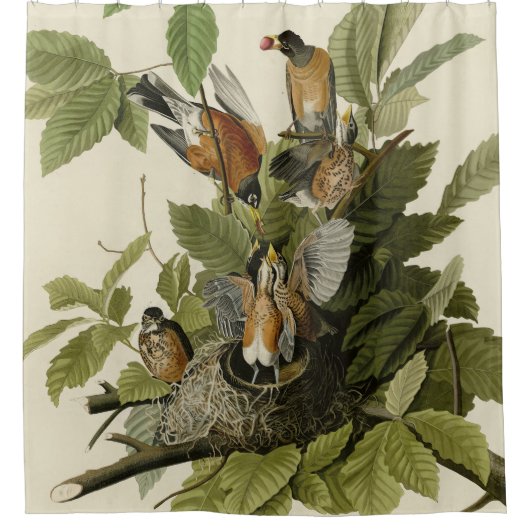 Amerikaanse Robin van Audubon's Birds of America Douchegordijn (Voorkant)